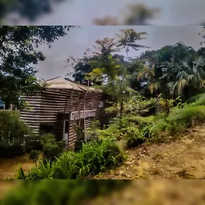 Bed & Breakfast Jungle Tree House Rangala Kandy