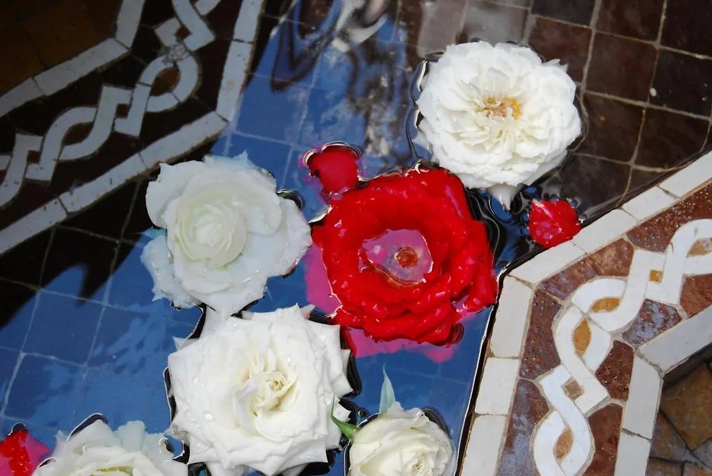 מרקש Riad Viva